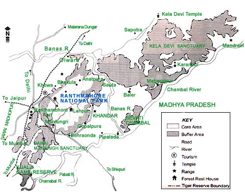 Ranthambore National Park Luxury Jungle Safari Into The Wild