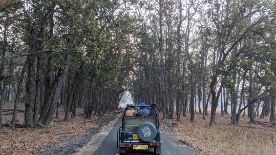Safari jeep driving smoothly on Kanha’s well-maintained road.
