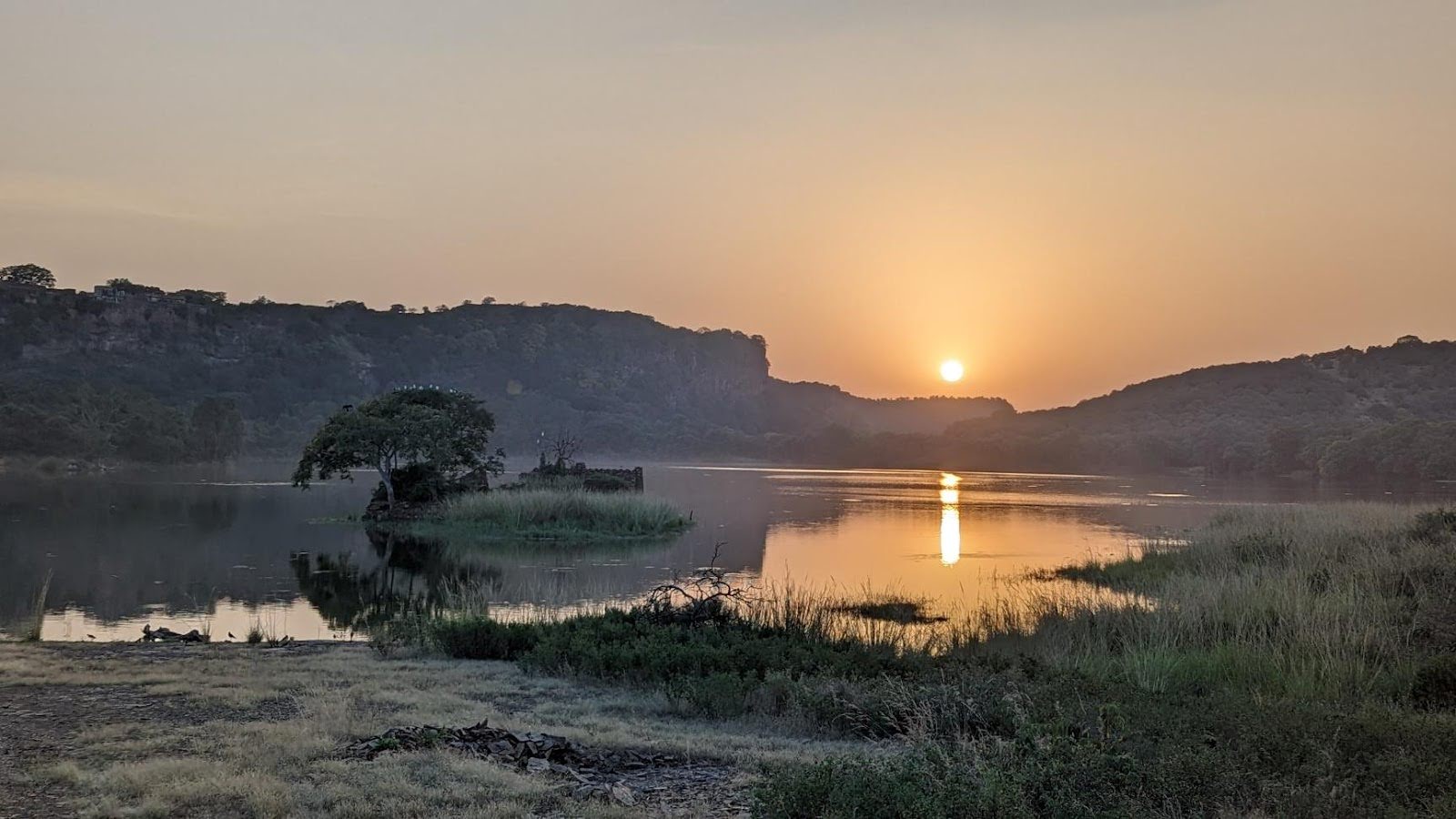 Ranthambore National Park river with misty light.