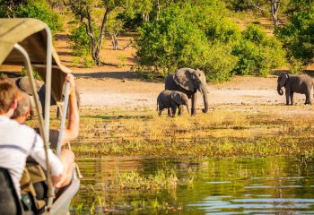 Senior-Friendly Wildlife Safaris
