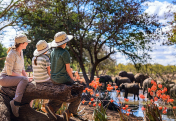 Indian Wildlife Safari Destinations Ideal for Family Trips with Kids