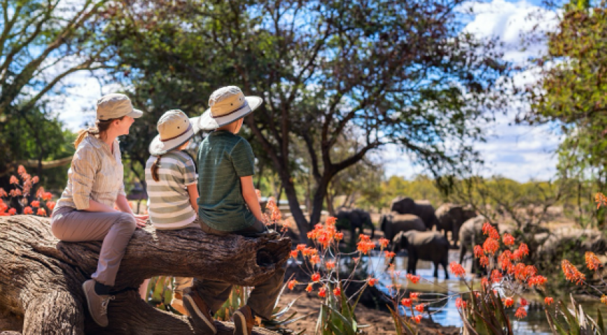 Indian Wildlife Safari Destinations Ideal for Family Trips with Kids