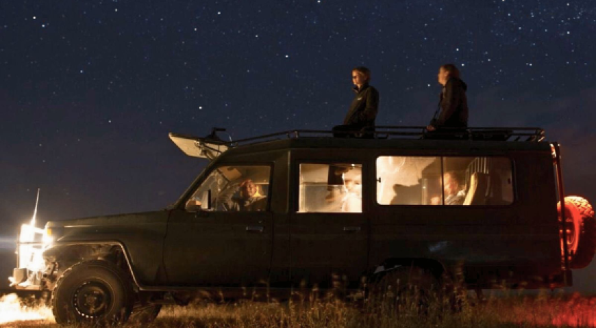 Experiencing the jungle under starlight